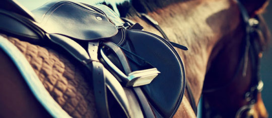 Bien équiper son cheval
