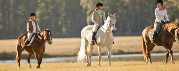 équitation anglais en Irlande