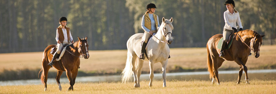 équitation anglais en Irlande